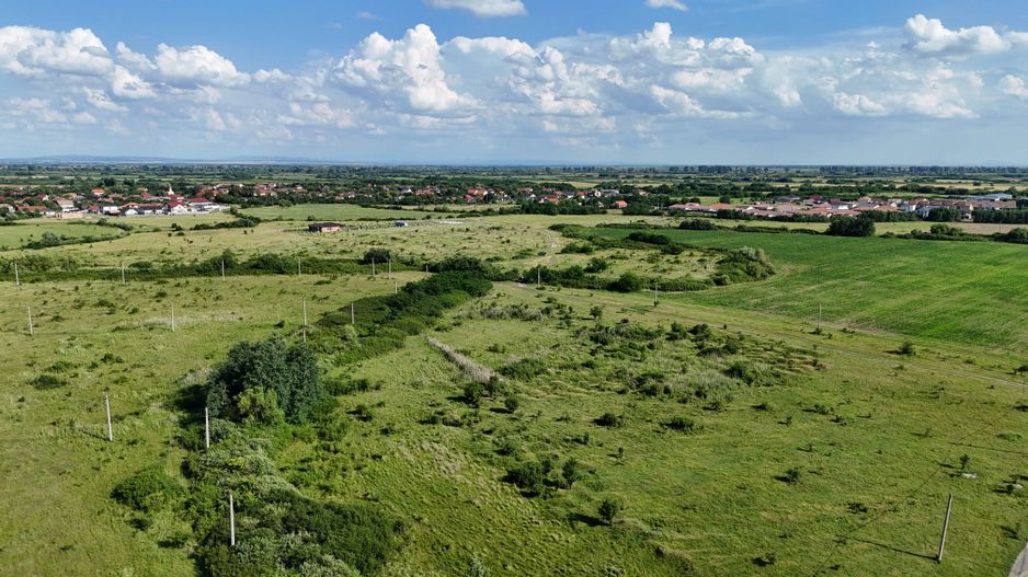 Terenuri zona  MOSNITA NOUA -  ALBINA . - Poză 29