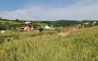 Teren zona Ana AslanCetate Schit - Poză 3