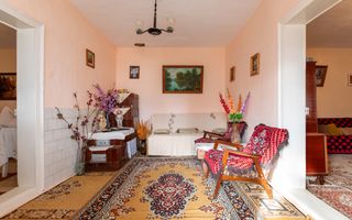 Casa si teren 3365mp Sascut - Poză 4