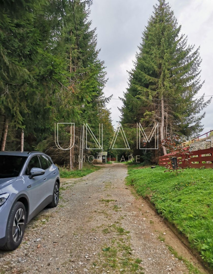 **VANDUT** Casă, Gărâna, munții Semenic, la doi pași de Scenă - Poză 5