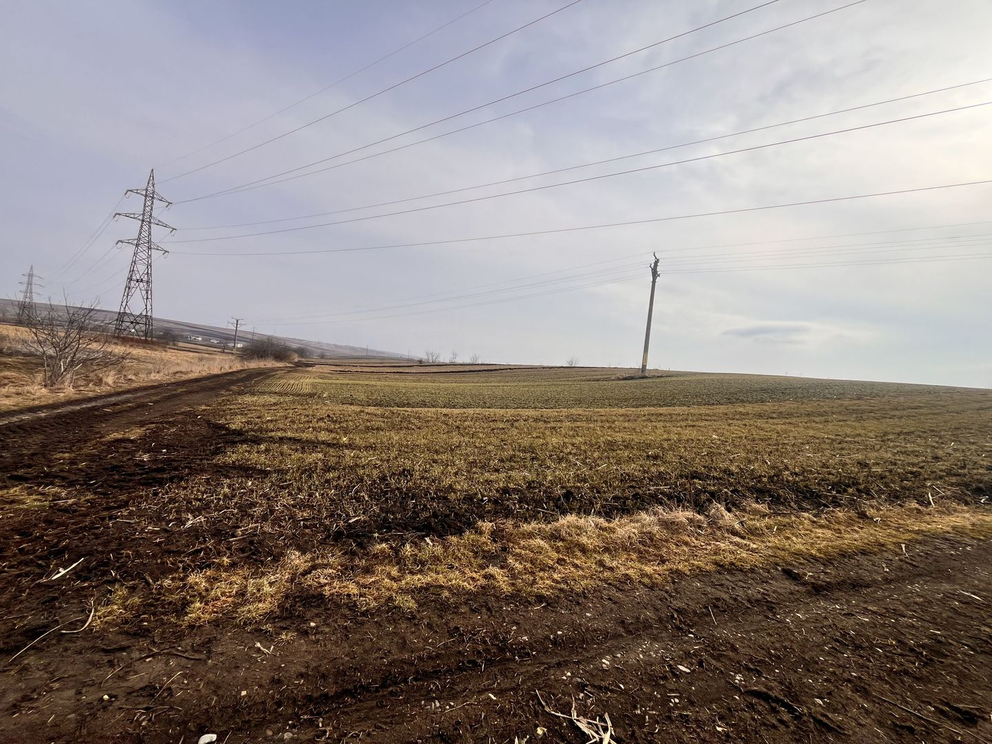 Teren Intravilan de Vânzare 33 Ari | Suceava/Ipotesti I 82.500 Euro - Poză 3