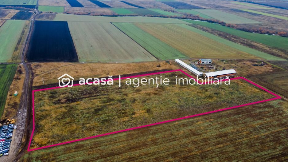 Teren 3.65h zonă industrială, Sânicolaul Mic. - Poză 8