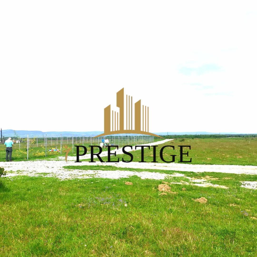 Teren Valea Avrigului – 1.000 mp | 1 km Dino Park | 25 €/mp - Poză 5