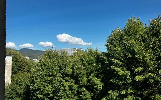 Apartament 2 camere– Cuza Vodă | Etaj 4/4 | Bucătărie spațioasă și luminoasă - Poză 11