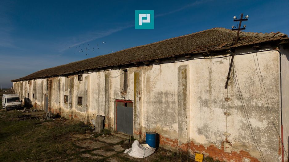 Hală industrială cu teren generos în Zărand, Arad - Poză 4