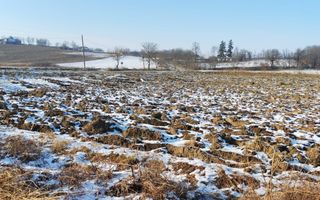 Vand teren intravilan si extravilan. - Poză 3