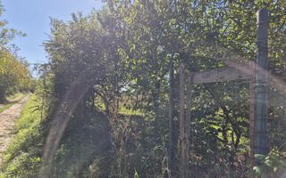 Teren intravilan în zona Lătureni – Buituri, în spatele casei nr. 100! - Poză 3