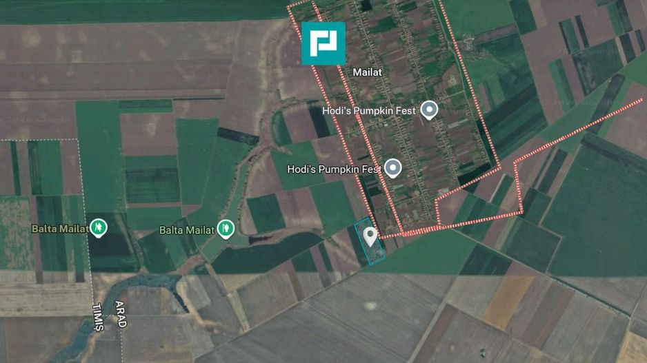 Teren de 8600 Mp2, agricol extravilan, Mailat - Poză 4