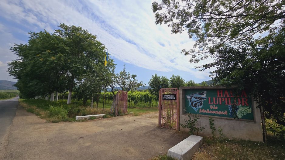 Vie Tradițională „Halta Lupilor” - Poză 24