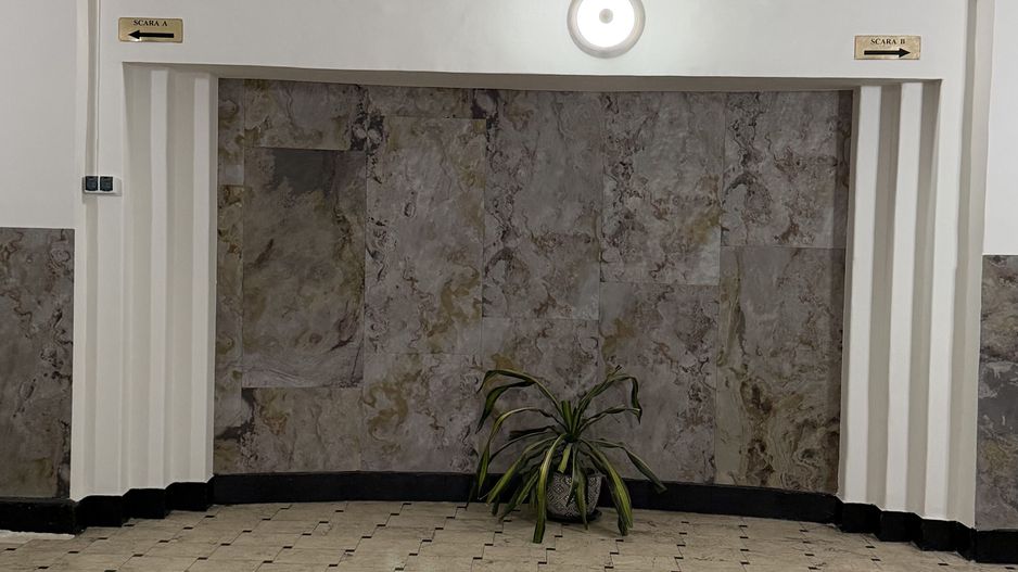 Studio Cozy Parc Gradina Icoanei - Poză 7