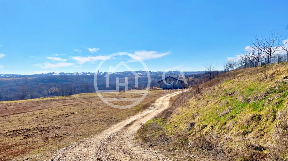 Teren 130.000 mp de vanzare in Paleu, Oradea - Poză 3