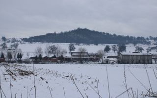 Teren 8000 mp I Intravilan I Utilitati- Vurpar - Poză 2