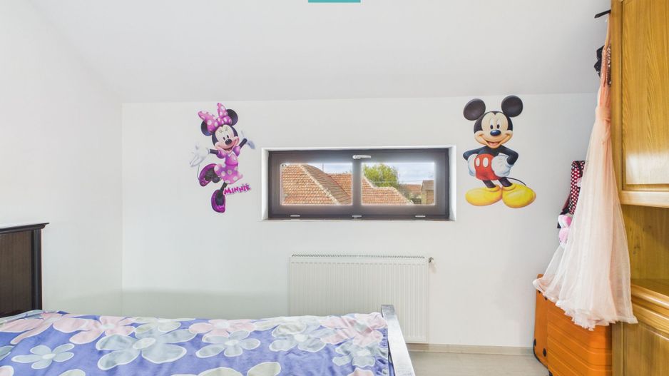 Casa plus spatiu comercial Dudestii Noi - Poză 34