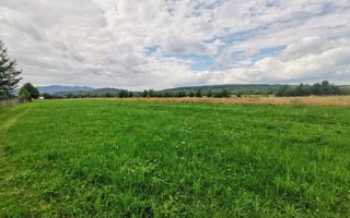 Teren Intravilan | 2.200 mp | Vicovu de Sus - Poză 3