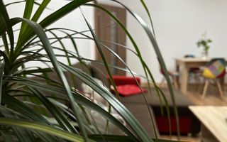 Oferta inchiriata - Apartament 3 camere - de inchiriat - Dacia - Poză 12