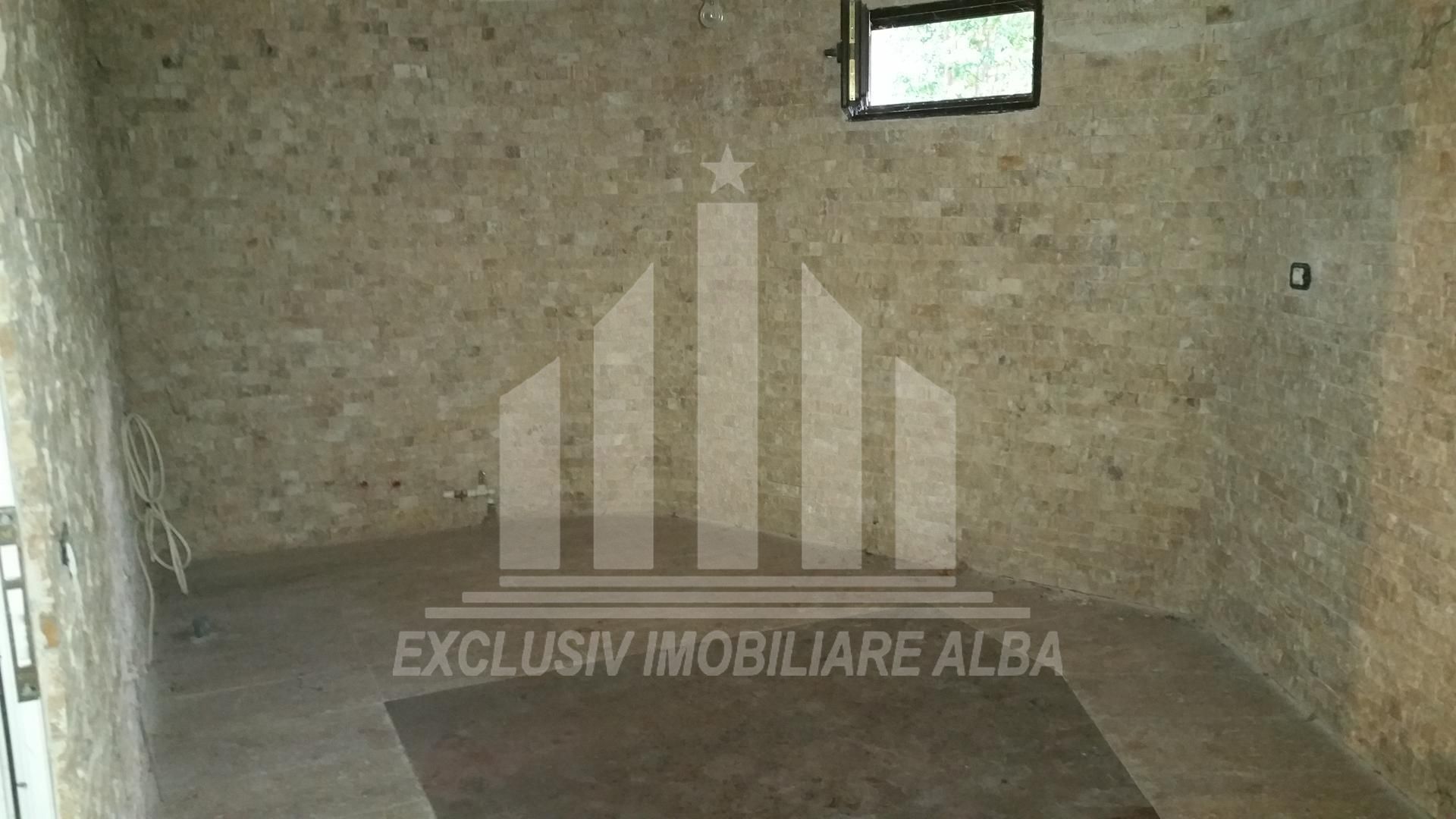 Casa individuala | Crama | 400 mp | 550 mp teren | Asfalt | Cetate - Poză 4