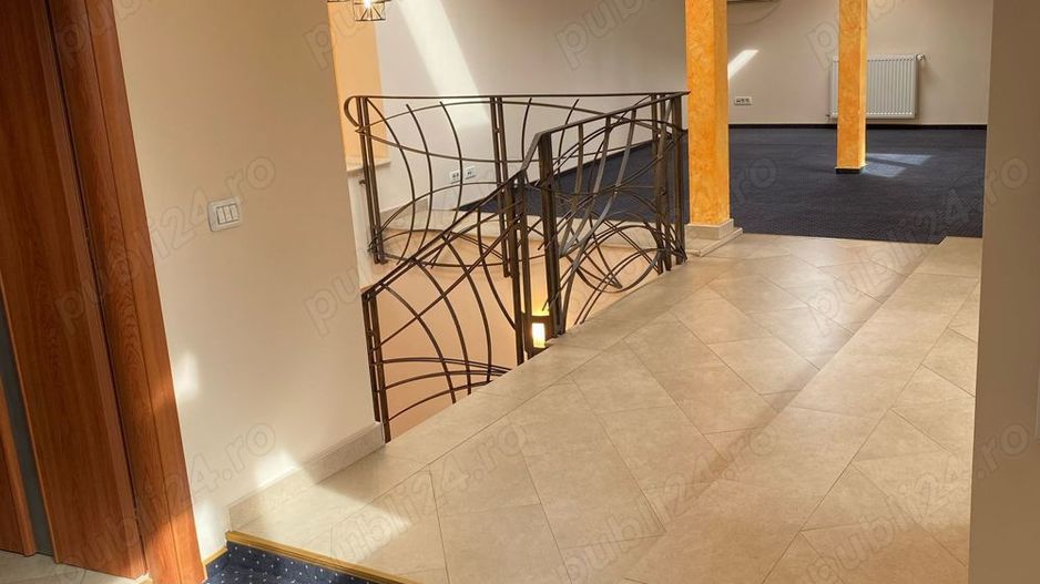 Vila Controceni - Poză 8