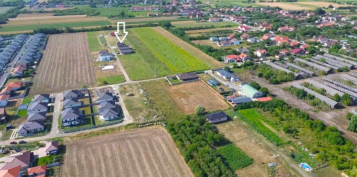 De vanzare 2 Parcele Teren intravilan 501 mp Martinesti/Strada Noua - Poză 3