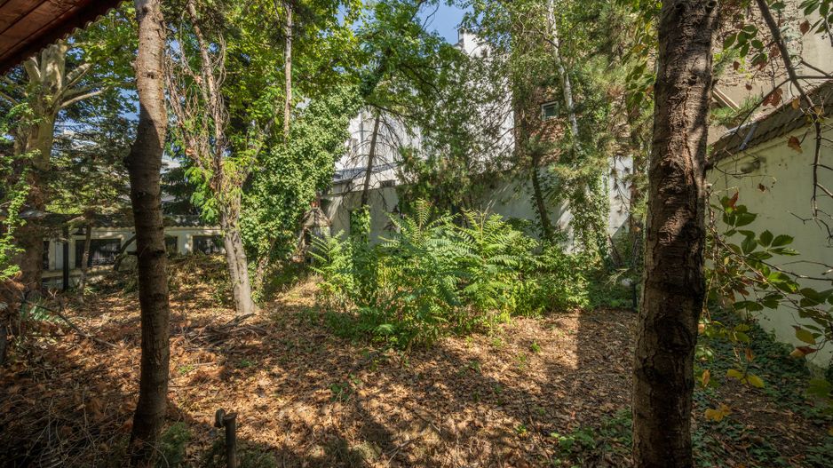 ULTRACENTRAL - Vilă UNICĂ și cu POTENȚIAL uriaș, o poveste de succes - Poză 36