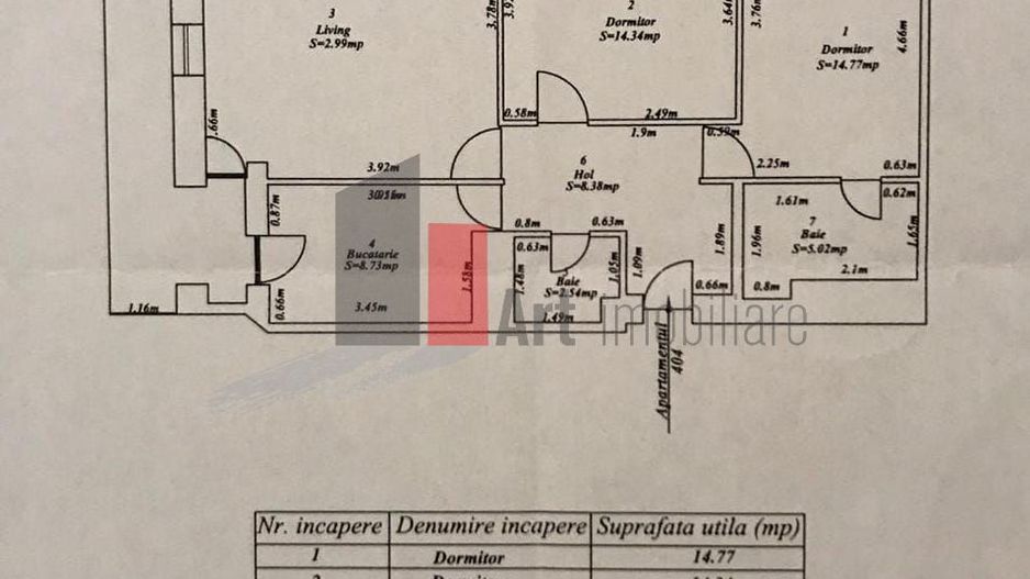 Apartament 3 camere Parcul Tineretului - Poză 10