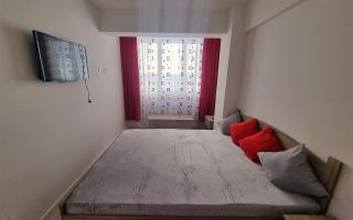 Apartament 1 camera Bucium-300Euro - Poză 3