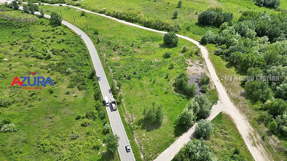 AZURA Imobiliare - Teren Topoloveni Bamesa Autostrada - Poză 5
