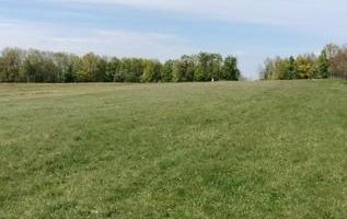 Teren extravilan 7.200 mp, Bordea - Grajduri, oportunitate investiție - Poză 6