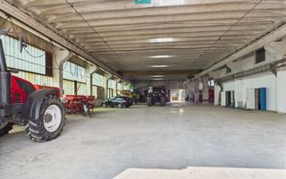 Complex industrial cu hale și teren  în Orțișoara - Poză 2