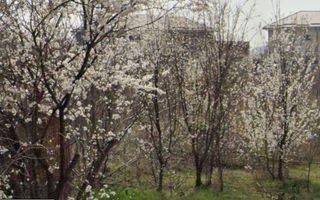 Teren 2,000mp Prelungirea Ferentari - Poză 1