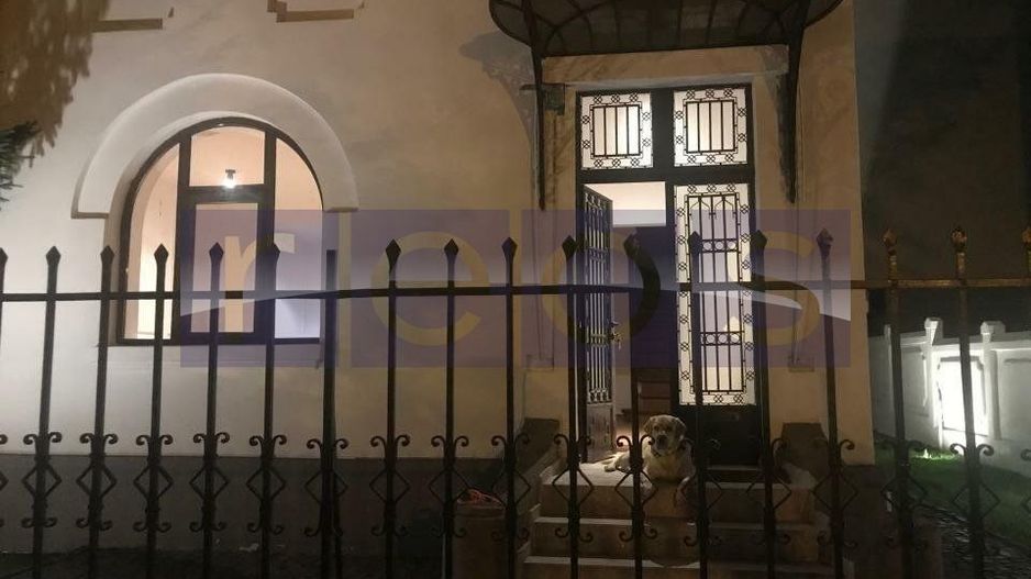 VANZARE VILA KISELEFF | 100MP CURTE | RENOVATA INTEGRAL | LOC PARCARE - Poză 16