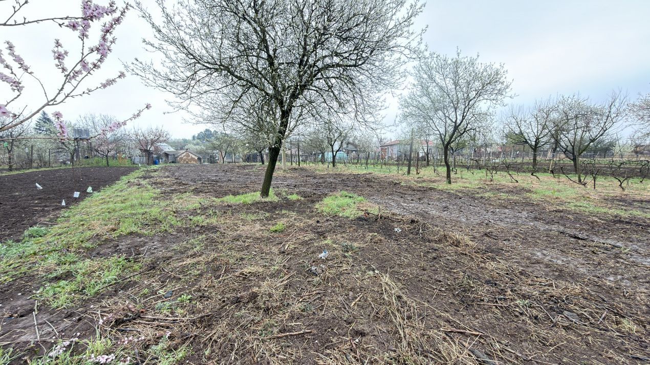 De vânzare 2 Case de vinificație cu Teren 4108 mp - Grădina Viilor - Carei - Poză 18