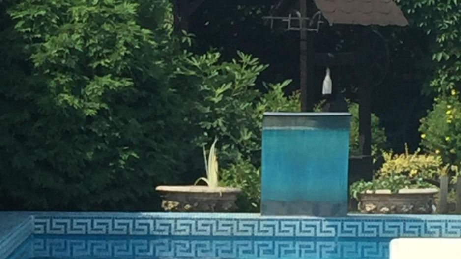 🏡 Casa individuala. Mobilata si utilata. Piscina exterioara.✨ - Poză 19