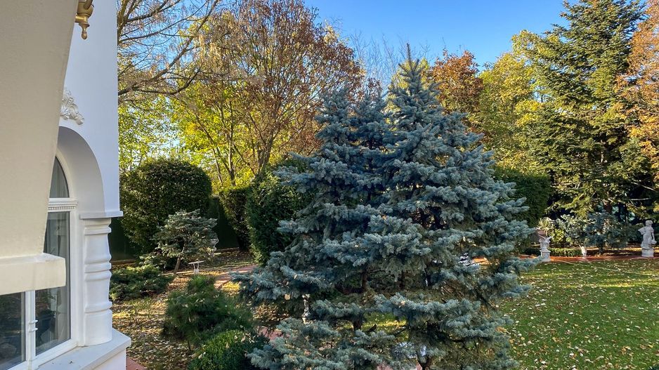 PROPRIETATE CU ENERGIE PURA |  Sanctuarul Eleganței și Rafinamentului - Poză 23