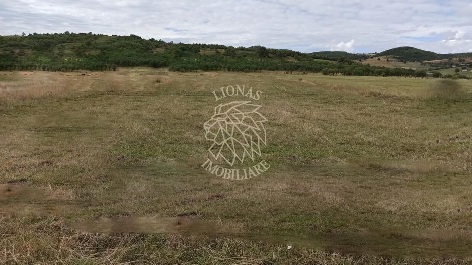 TEREN INTRAVILAN 5000 mp-ideal case,hale-Livezile PRET PROMO! - Poză 2