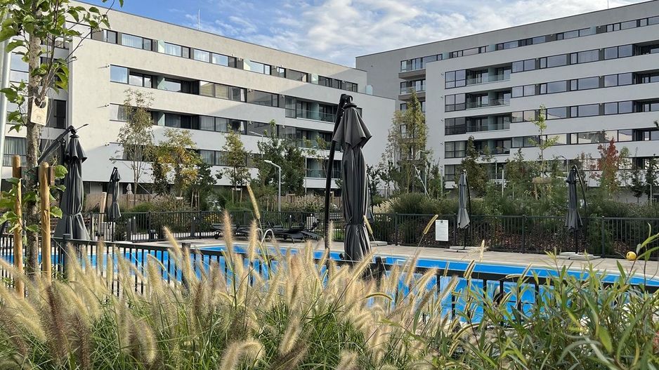 Apartament Studio | Gradina |  Faza 3 - Poză 9