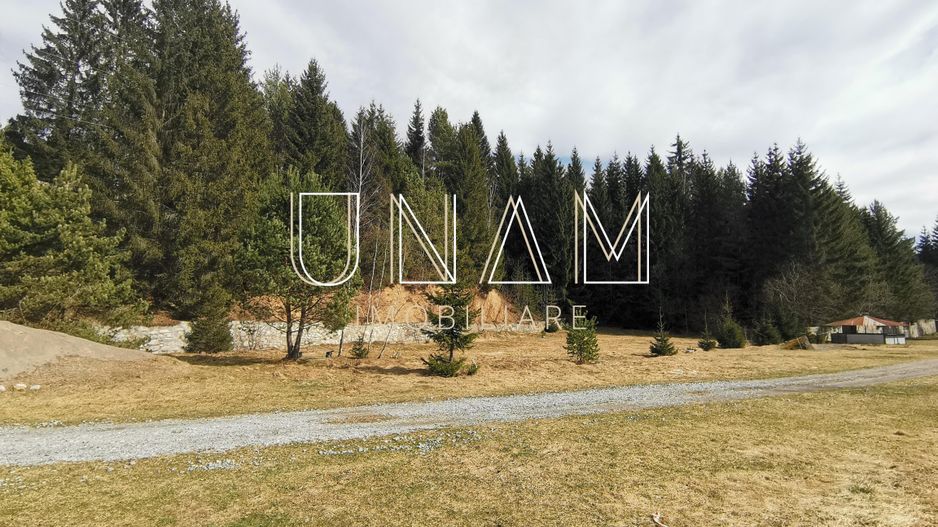 ***OFERTA NOUA*** Teren lângă Scenă, în Poiana Lupului, Gărâna - Poză 3