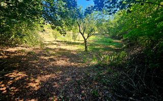 🌳 Teren intravilan 2322 mp, Păcuri – vedere superbă spre pădure! 🏡✨ - Poză 9