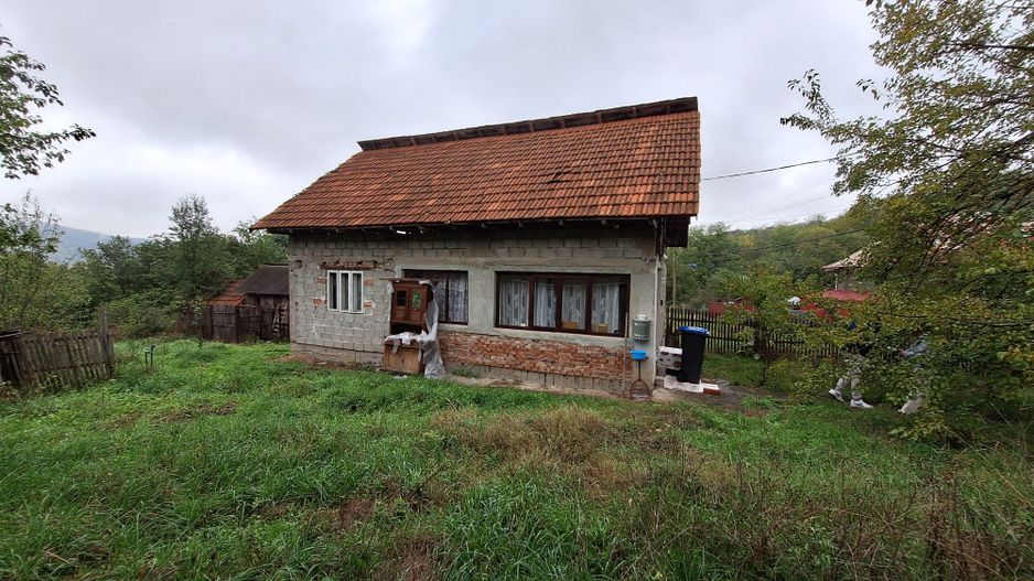 Casa de Vanzare Baiculesti Arges - Poză 3