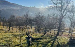 Super oferta I Vânzare Teren – Poiana Sohodol, Județ Alba - Poză 4