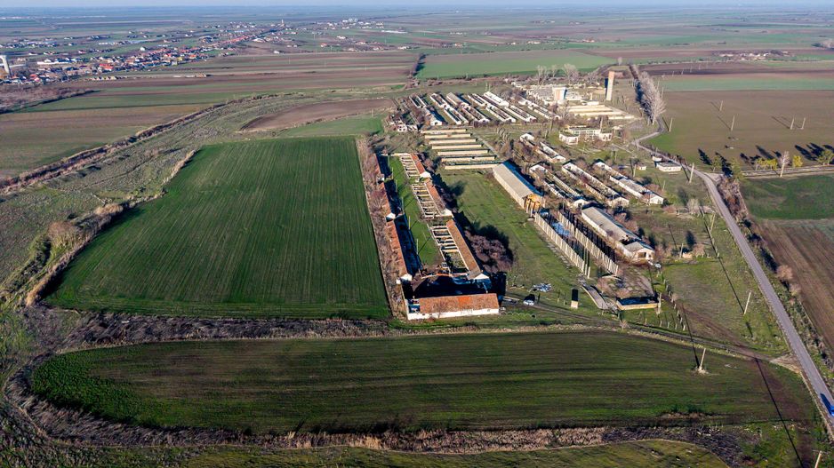 Ferma 11.5 HA lângă DN7 & Autostrada E68 – Nădlac | clădiri+utilități - Poză 3