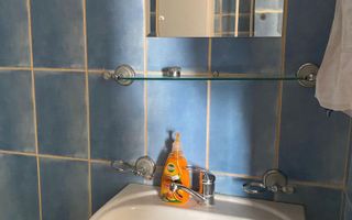 Garsoniera  zona Tei langa Facultatea de contructii - Poză 4