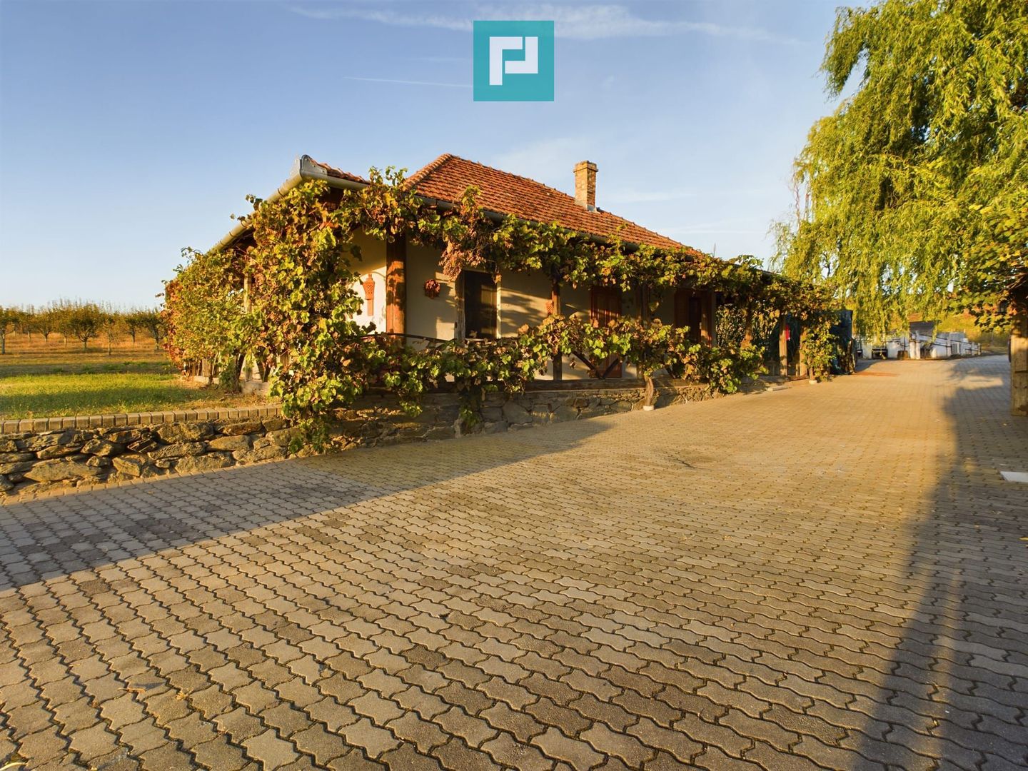 Spațiu comercial - Crama Pivnițele Birăuaș - Poză 18