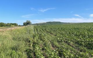 Teren de vânzare 4.850 mp în comuna Mogoșești, sat Budești - Poză 3