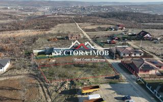 NECTORA IMOB-Teren INTRAVILAN 1000 mp, Zona PALEU, Utilitati incluse - Poză 4