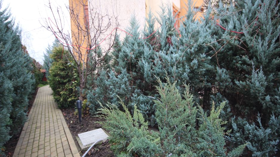 Casa pretabila birouri, camin de batrani - Poză 137