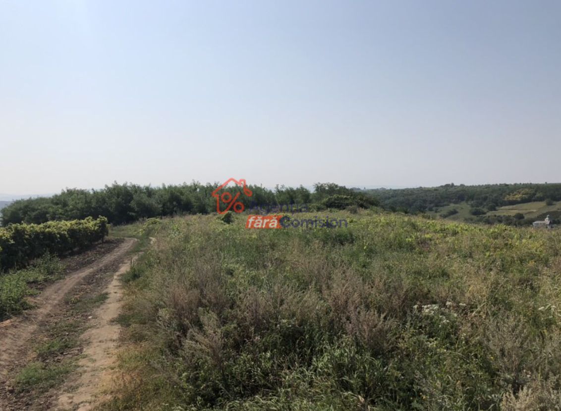Teren Sorogari, 19000mp,  35euro/mp - Poză 6