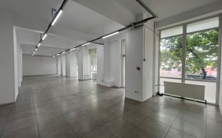 Spatiu Comercial | 261 mp | 20m Vitrina | Tineretului | Parc Carol - Poză 2