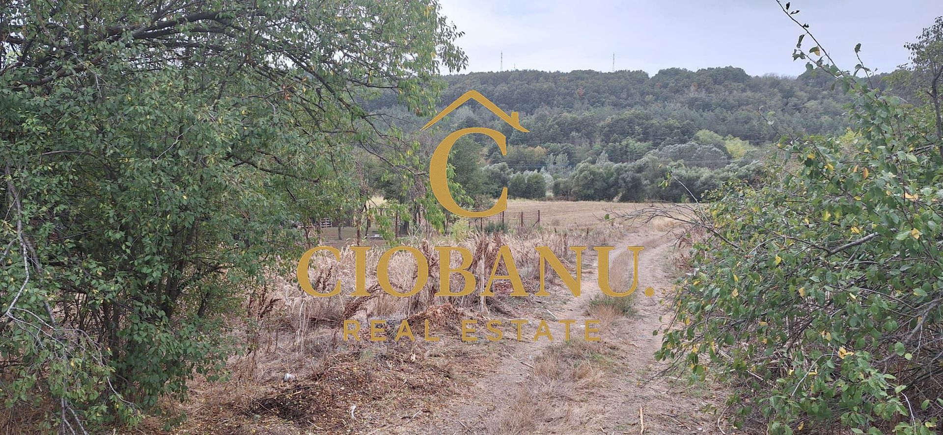 Teren Intravilan/Extravilan de vanzare in Bradestii Batrani - Poză 7
