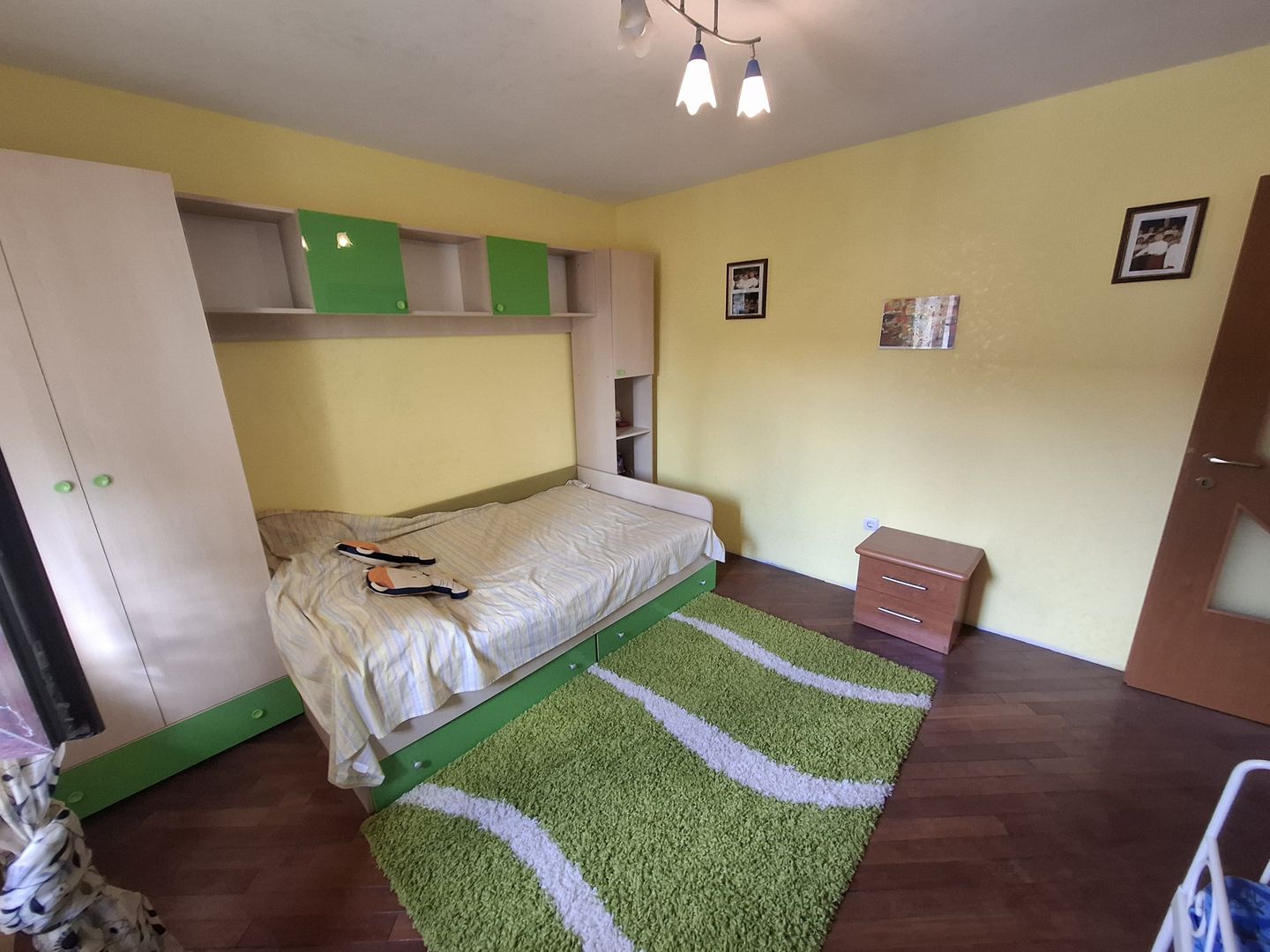 🏡 Casă de vânzare – Nicolae Bălcescu, la E85 - Poză 7