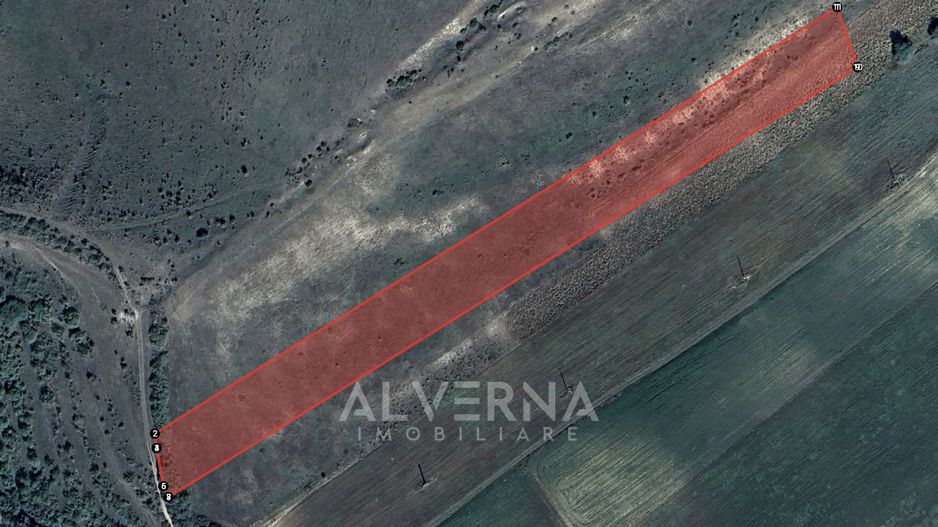 COMISION 0% - Teren extravilan 11.600mp - cadastrat - Gadalin / Jucu - Poză 6